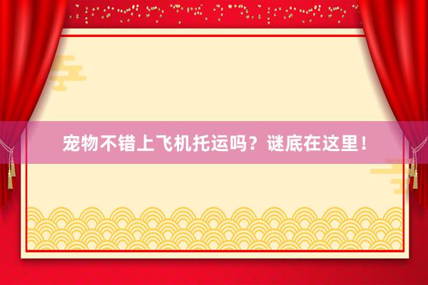宠物不错上飞机托运吗？谜底在这里！